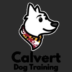 Calvert Dog Training