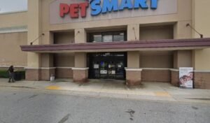 PetSmart Dog Training