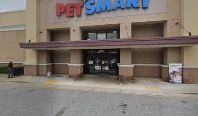 PetSmart Dog Training