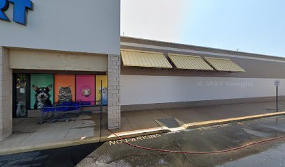 PetSmart Dog Training