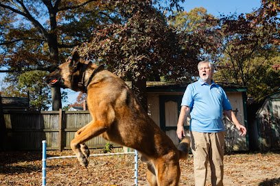 Happy Homes Dog Training