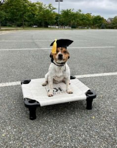 Good K9 Academy