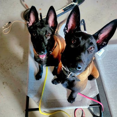 Komplete K9 MD LLC.