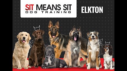 Sit Means Sit Dog Training – Cecil County Maryland and Delaware