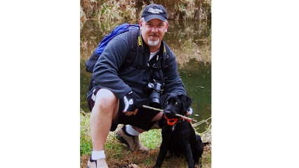 Dogs on the Mark