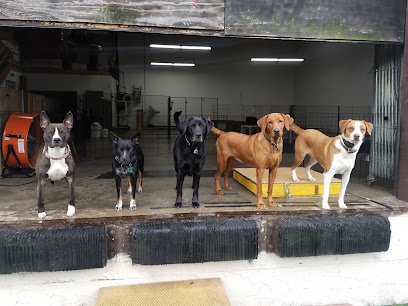 Pet-U-Cation Training & Rehabilitation Services, LLC