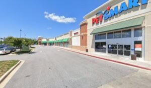 PetSmart Dog Training