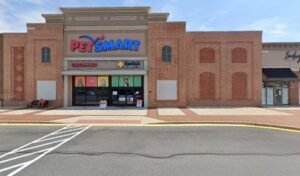 PetSmart Dog Training
