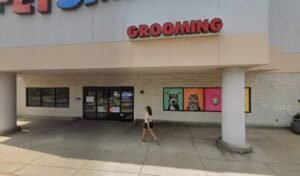 PetSmart Dog Training