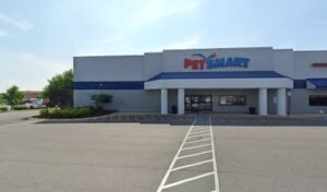 PetSmart Dog Training