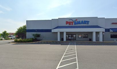 PetSmart Dog Training