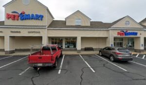 PetSmart Dog Training