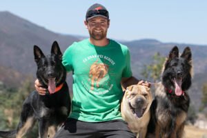 Squared Away Dog Training