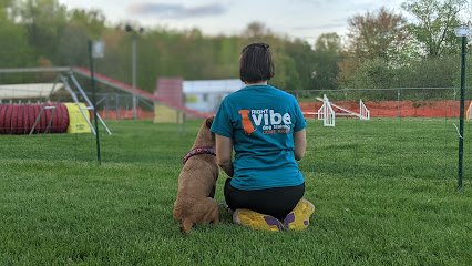 Right Vibe Dog Training