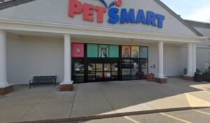 PetSmart Dog Training