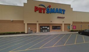 PetSmart Dog Training
