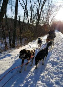 Drift away mushing adventures