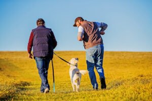 Reflex Dog Training