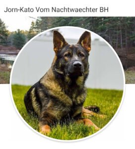 Take A Lead K9 Training & Transporter