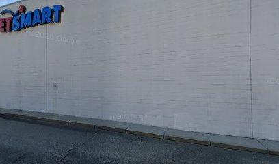 PetSmart Dog Training