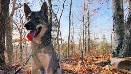 OutHounds Adventure & Training Academy, LLC