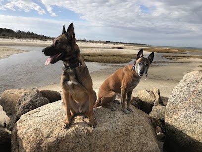 ExFed Dog Training, LLC