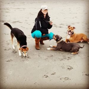 Recurve K9 (Scituate)