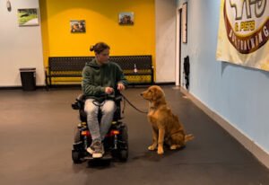K-9 & Pets Dog Training LLC