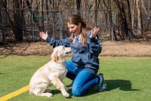 Atlantic K9 Training LLC