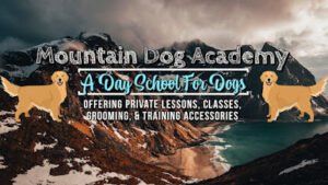 Mountain Dog Academy