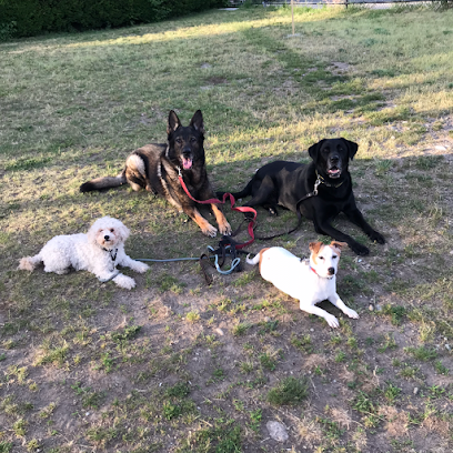 Boston k9 LLC