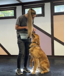 Naked Dog Training