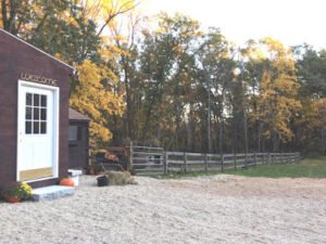 Fox Hill Farm & K9 Dog Training