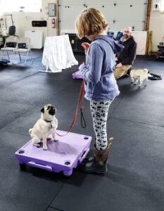 It’s PAWSible! Dog Training Center