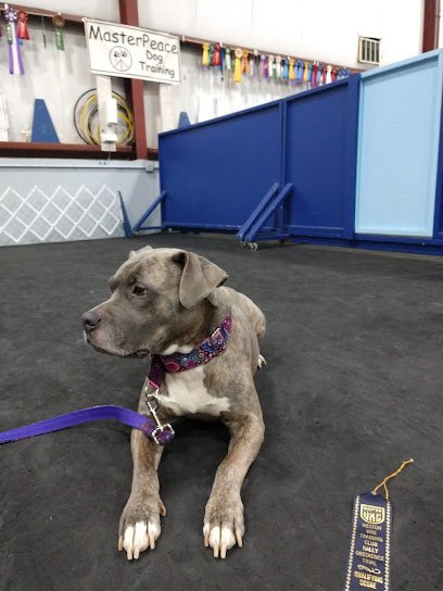 Masterpeace Dog Training