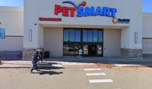 PetSmart Dog Training