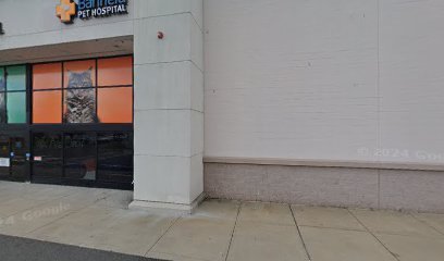 PetSmart Dog Training