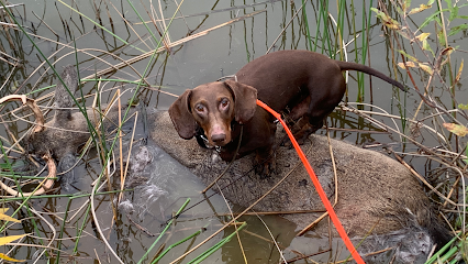 Last Chance Deer Tracking Service