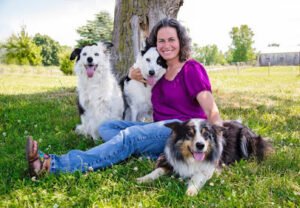 Brilliant Dogs at Borderhauss Kennels, LLC