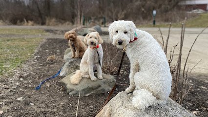 Pawsonal Training