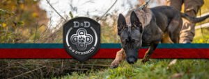 D & D K9 Dynamics