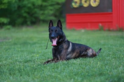 Working Dog Training Company