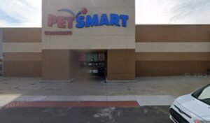 PetSmart Dog Training