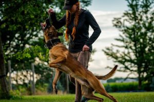 Divinity K9
