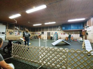 K-9 Connection Dog Training