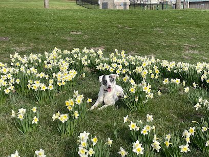 Advanced K-9 Academy LLC