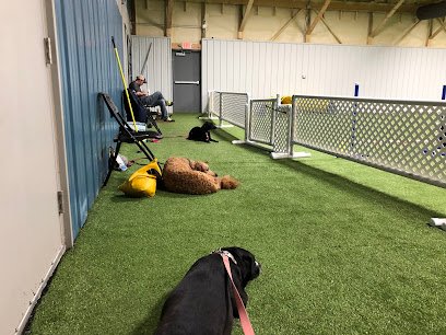 TNT Dog Center