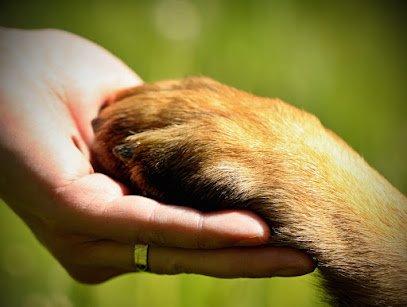 Click!Pawsitive Family Pet Center