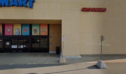 PetSmart Dog Training