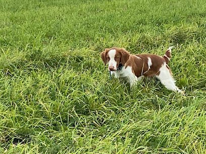 Granite Ledge Kennels